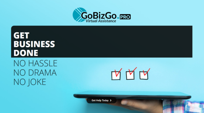 GoBizGo Virtual Assistance