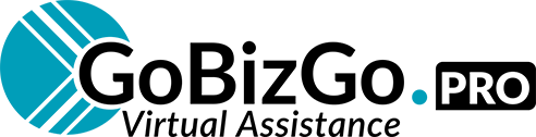GoBizGo Virtual Assistance